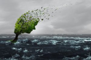Computer generated illustration of a tree in the middle of a choppy sea with a stormy sky. The leaves of the tree are in the shape of a person's face and the leaves are blowing off into the wind, illustrating that learning to cope with eco-anxiety can help us grow. Therapy can give you the tools.